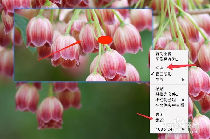 截图工具snipaste，如何使用