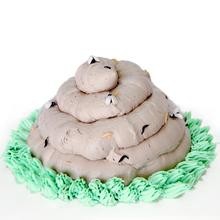 猫猫吐水的原因