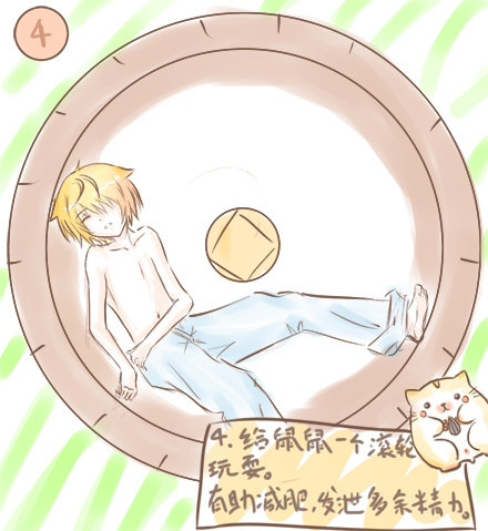 仓鼠饲养基础手册