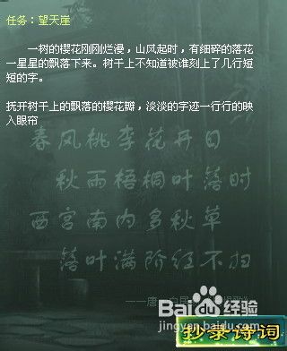 征途2望天涯任务