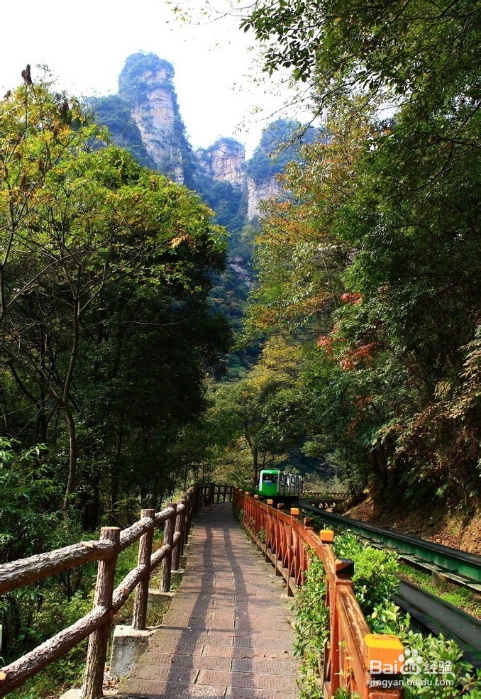 枣庄到张家界自驾游