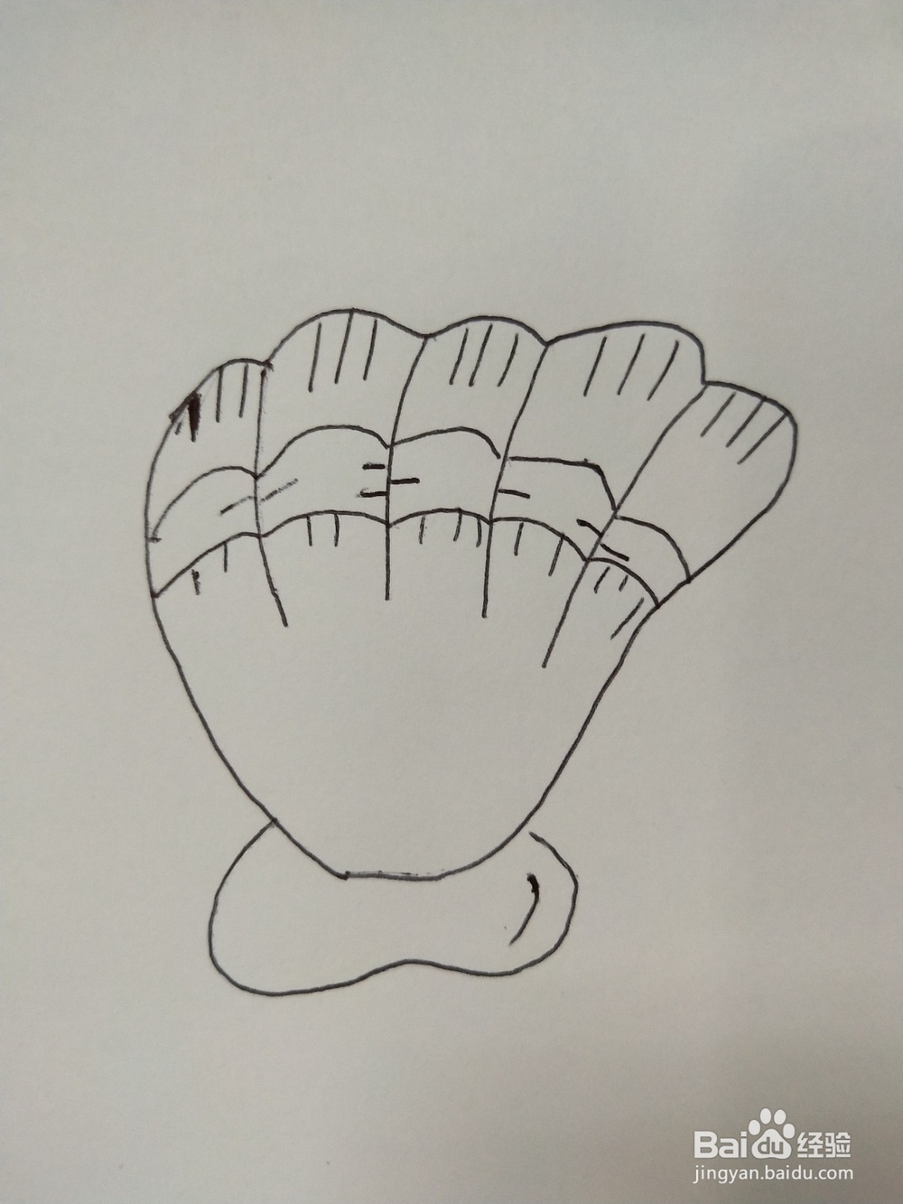 怎么画一个贝壳