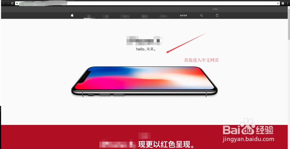 苹果官网都是英文如何转中文