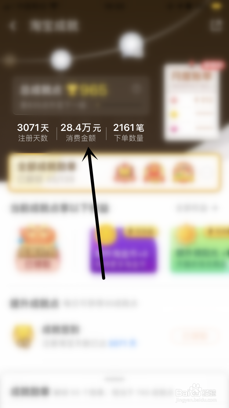 淘宝如何查看自己总共消费了多少钱