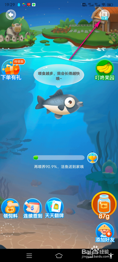怎么查看叮咚买菜鱼塘攻略