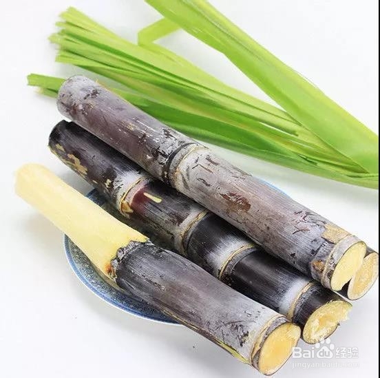 常用手机和电脑,教大家如何用饮食来护眼!