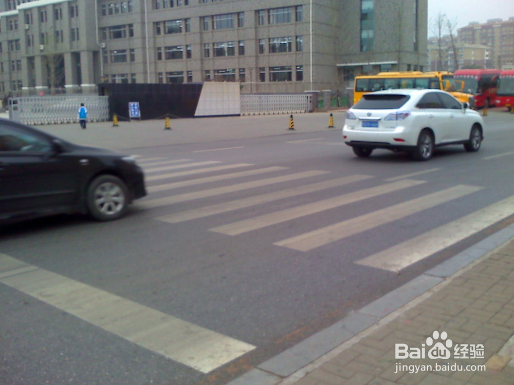 怎样告诉孩子安全出行---5