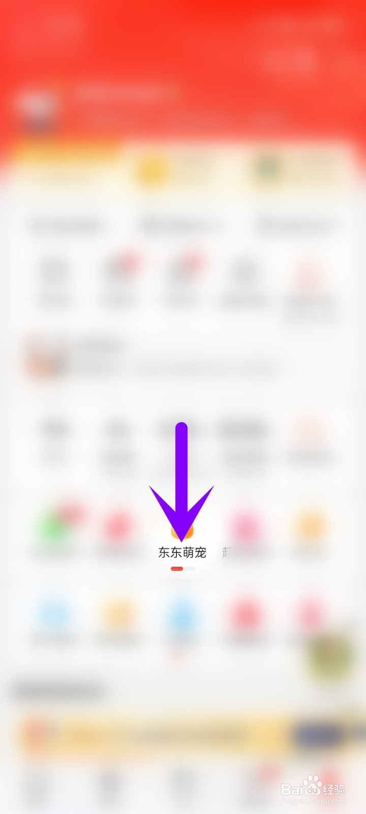 东东萌宠玩法说明内容如何查看