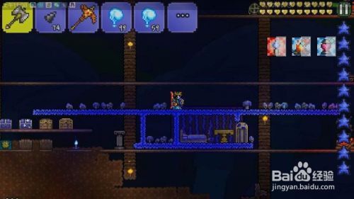 泰拉瑞亚怎么种夜光蘑菇 百度经验