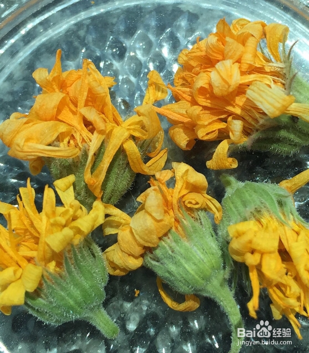 风和日丽的下午用自己种的金盏菊泡杯茶