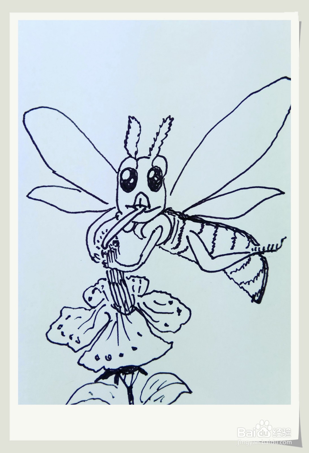 怎样画简笔画“小蜜蜂采蜜糖”？