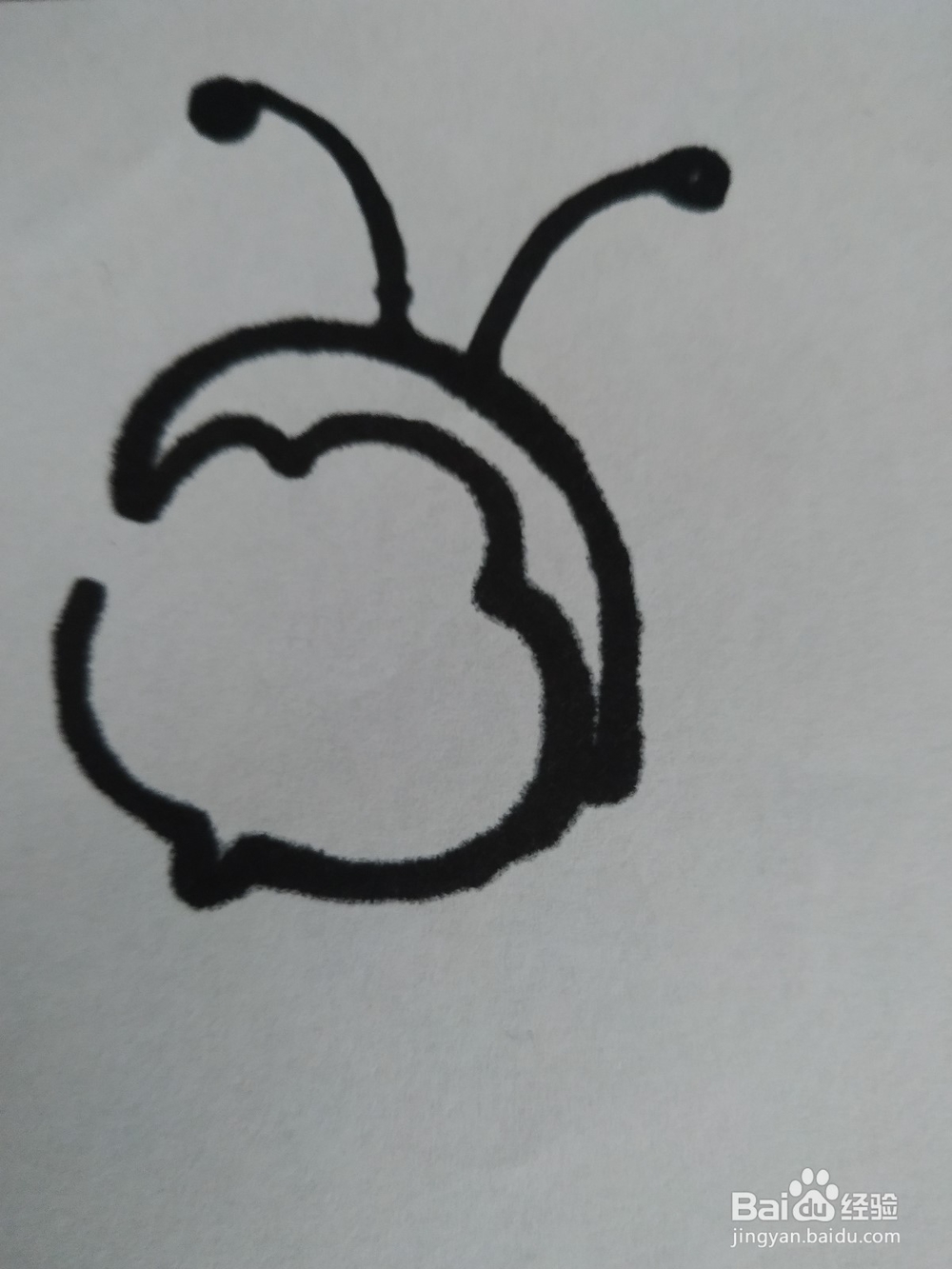 蜜蜂的简笔画技法5