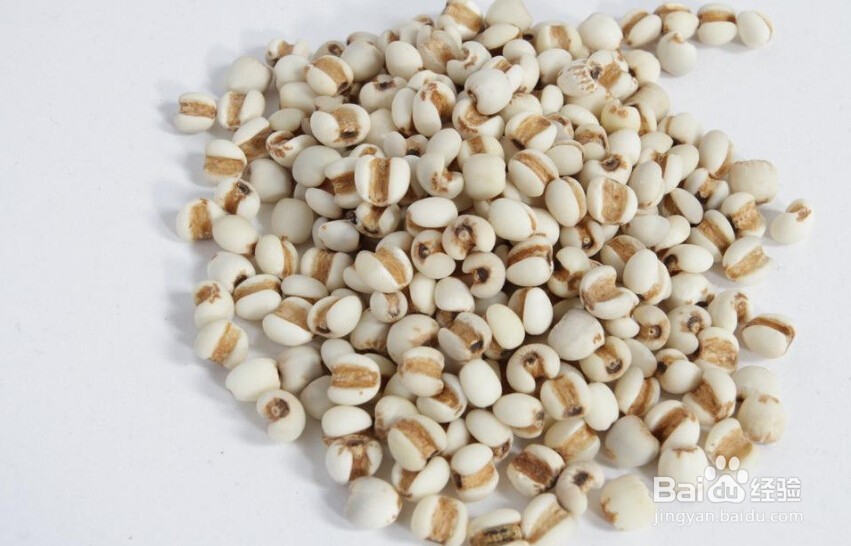 好喝祛湿薏仁水