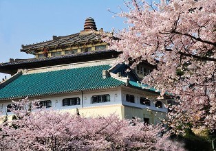 武汉 旅游攻略