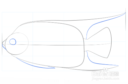 如何画女王神仙鱼