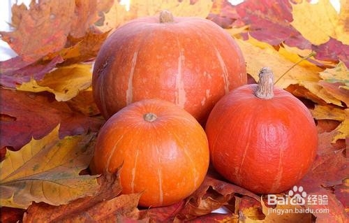 蔬菜也能养胃？肠胃不适的人有福了！