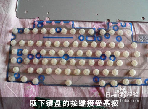 教你怎么洗键盘！