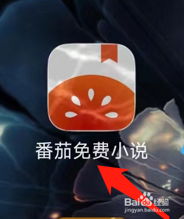 番茄免费小说怎样进行查看看过的人