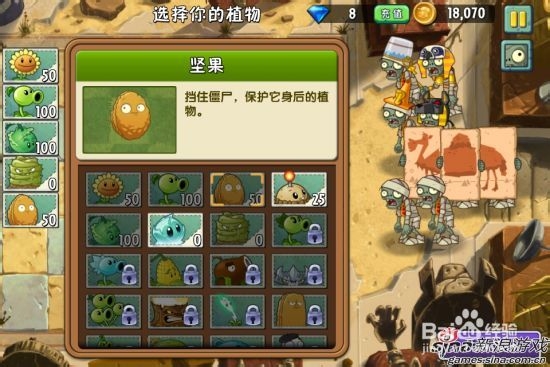 植物大战僵尸2神秘埃及种子保卫战第三天攻略