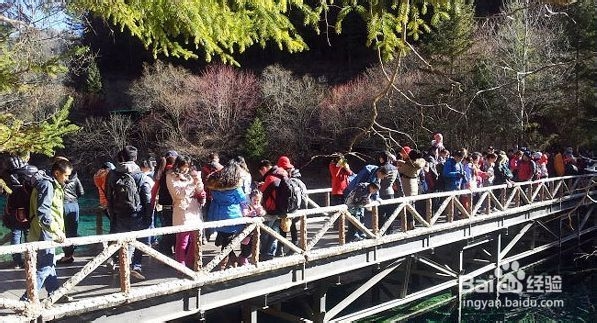 重庆到张家界旅游线路