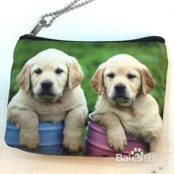 包硬币猫咪教程