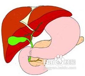 脂肪肝的食疗方法