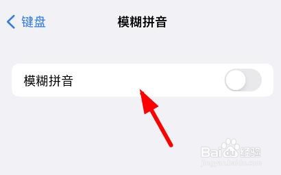 苹果13如何关闭模糊拼音