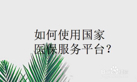 如何使用国家医保服务平台
