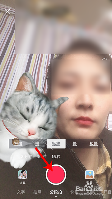 抖音猫咪蹭蹭怎么拍