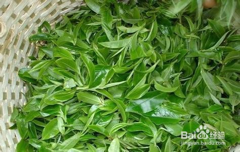 如何选择茶叶