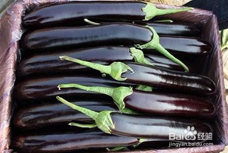 茄子种植:茄子栽培技术图片详细篇