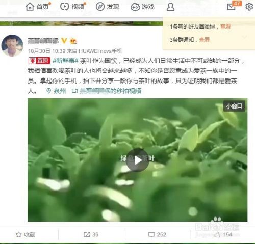 微博金V养成方法