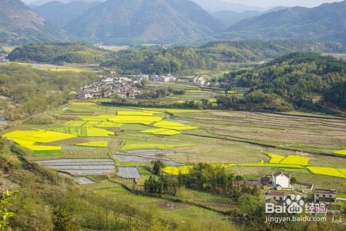 安徽绩溪查济2日游攻略