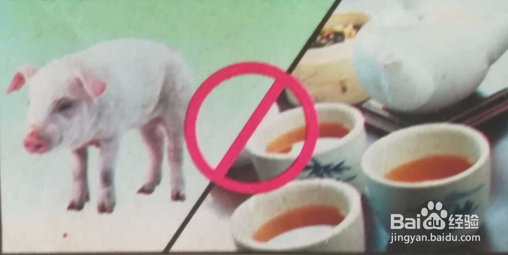 那些食物不能一块吃