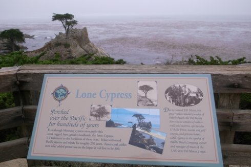 去美国西海岸自驾游