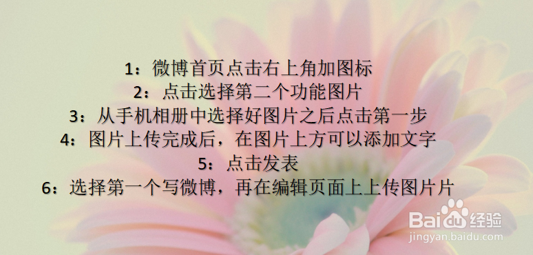 新浪微博手机版如何上传照片