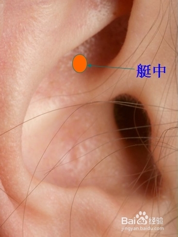 耳穴养生保健