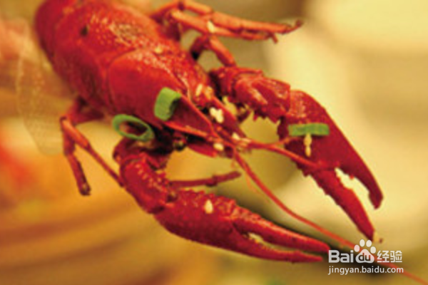 怎么正确吃小龙虾