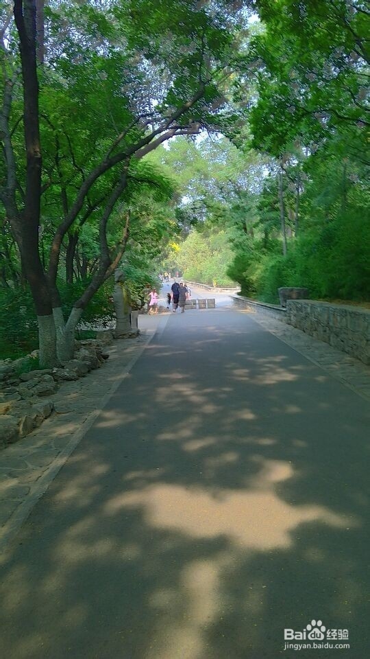 如何快速的走出失恋?