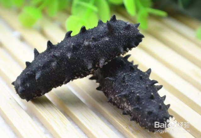 海参品质怎么鉴别方法