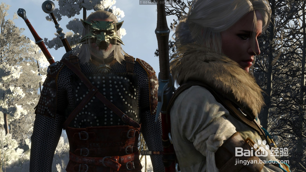 巫师3 结束是另一个开始 任务攻略