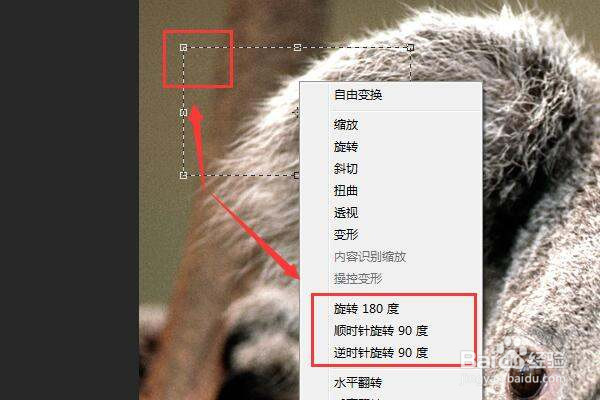 PS中怎么旋转选区框