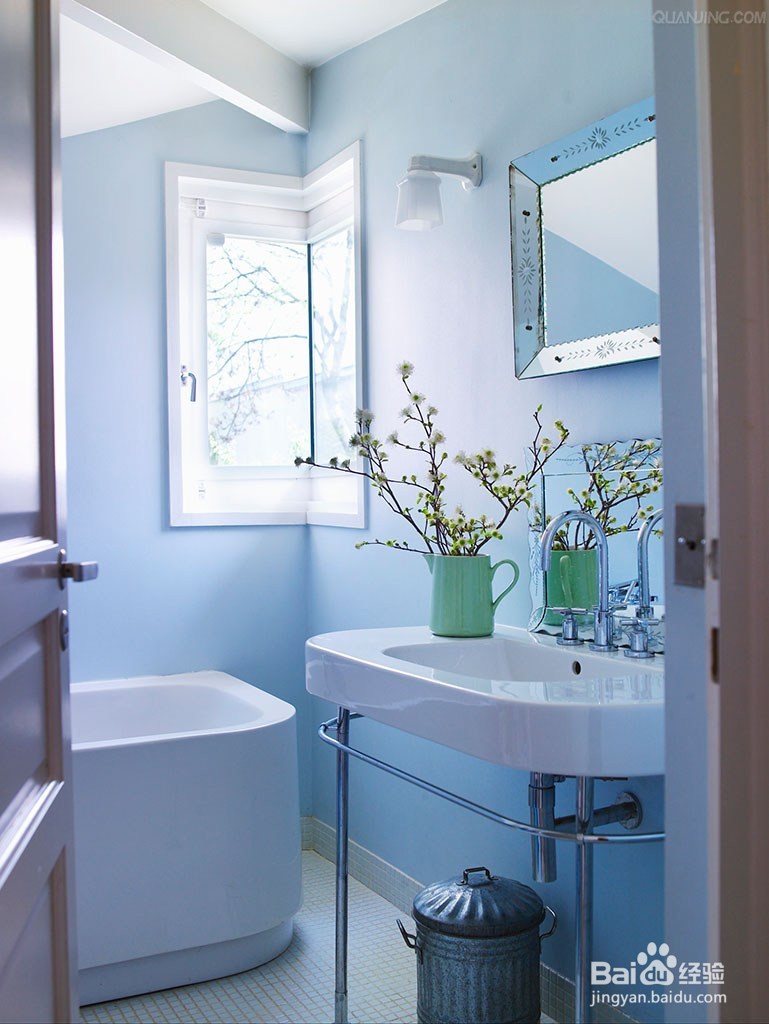 家里一定要摆放这几种绿植，保你财旺，运气旺