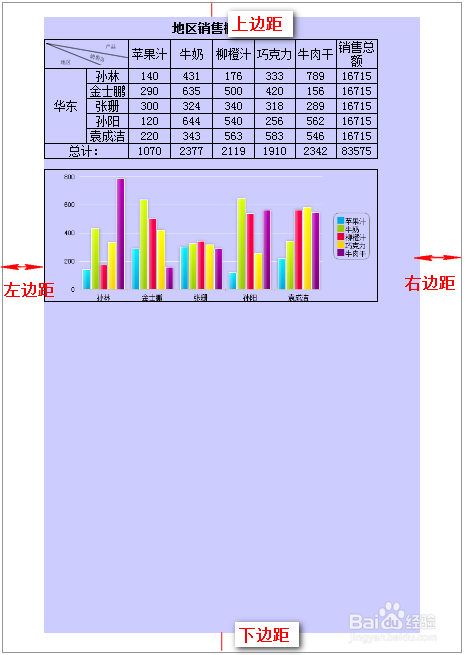 自定义报表系统FineReport中模版的页面如何设置