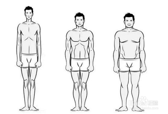 健身期间减脂增肌的方法