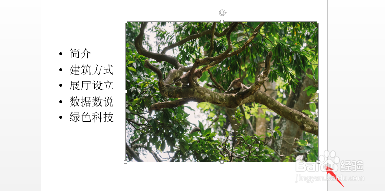 ppt怎样更改图片亮度和对比度