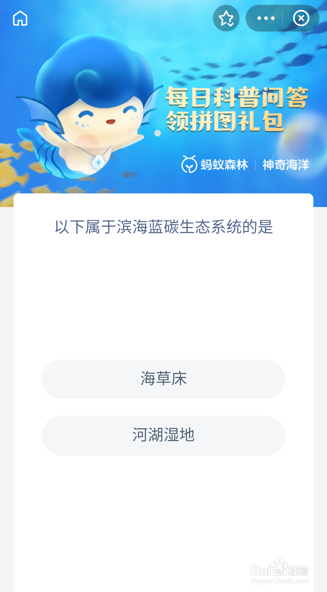神奇海洋 以下属于海蓝碳生态系统的是河湖湿地
