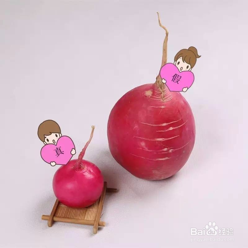 什么萝卜治痛风?