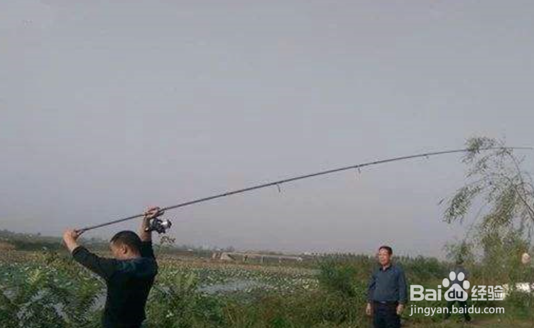 海竿抛投时为什么总是断线丢线组？