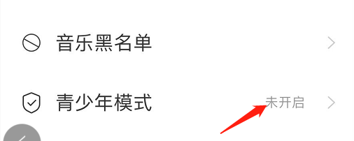 如何开启网易云音乐青少年模式